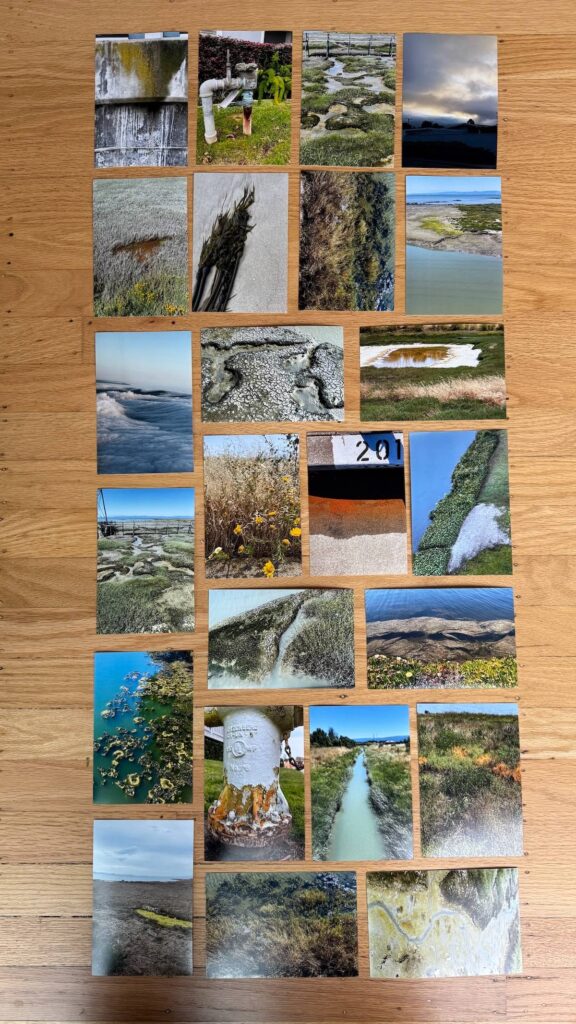 Inspiration board with pictures by Adriene Busch