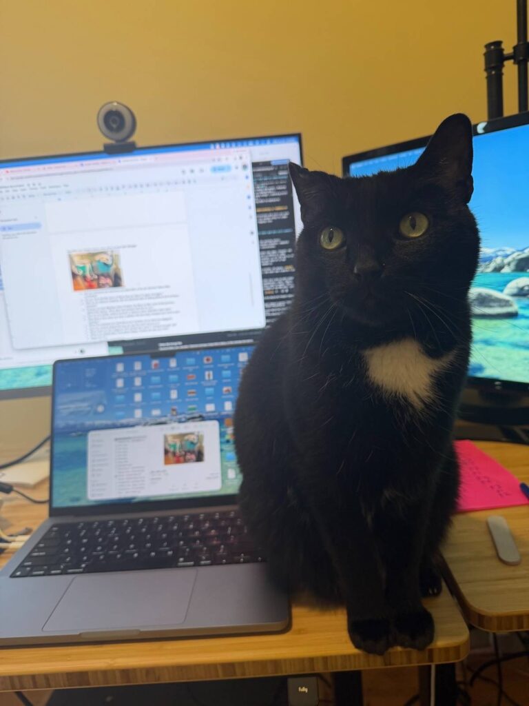 Charlie the cat on Candace Ohm desk
