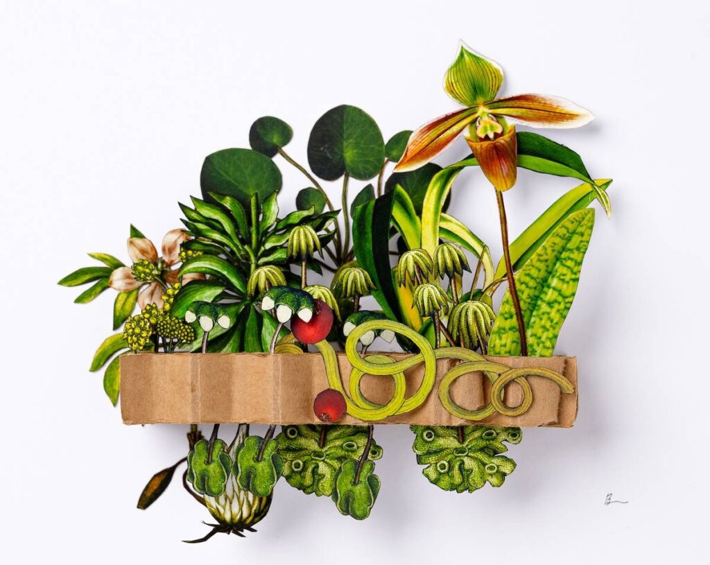 Green vines and an iris paper sculpture by Kim Briet