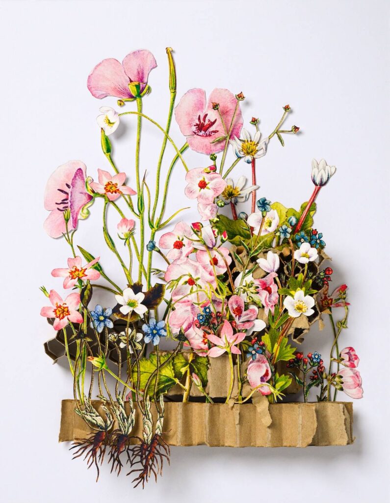 Pink flower paper sculpture by Kim Briet