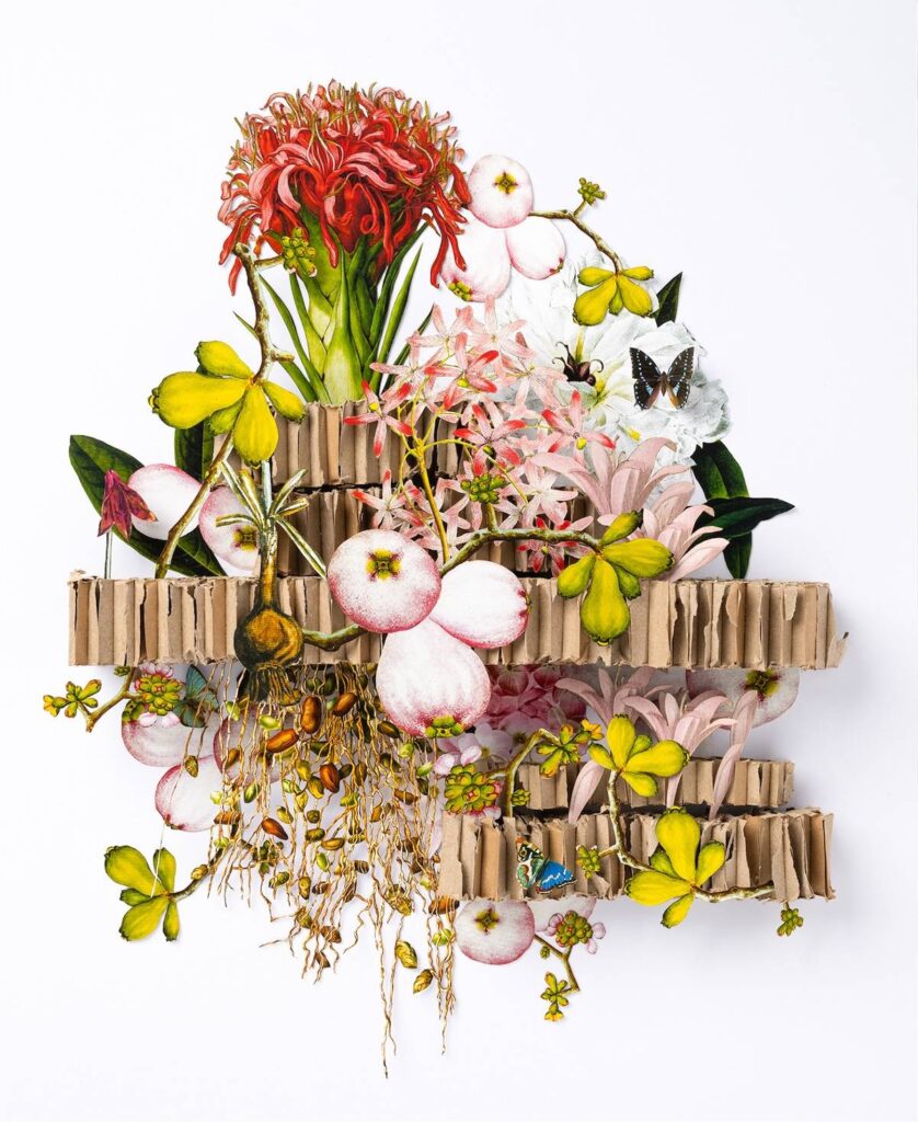 Flower paper sculpture by Kim Briet