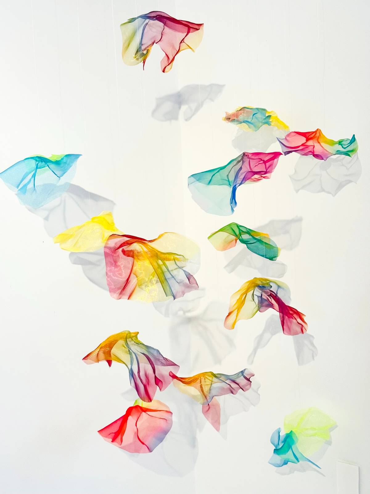 Spotlight: Mimi Czajka Graminski, Multidisciplinary Artist