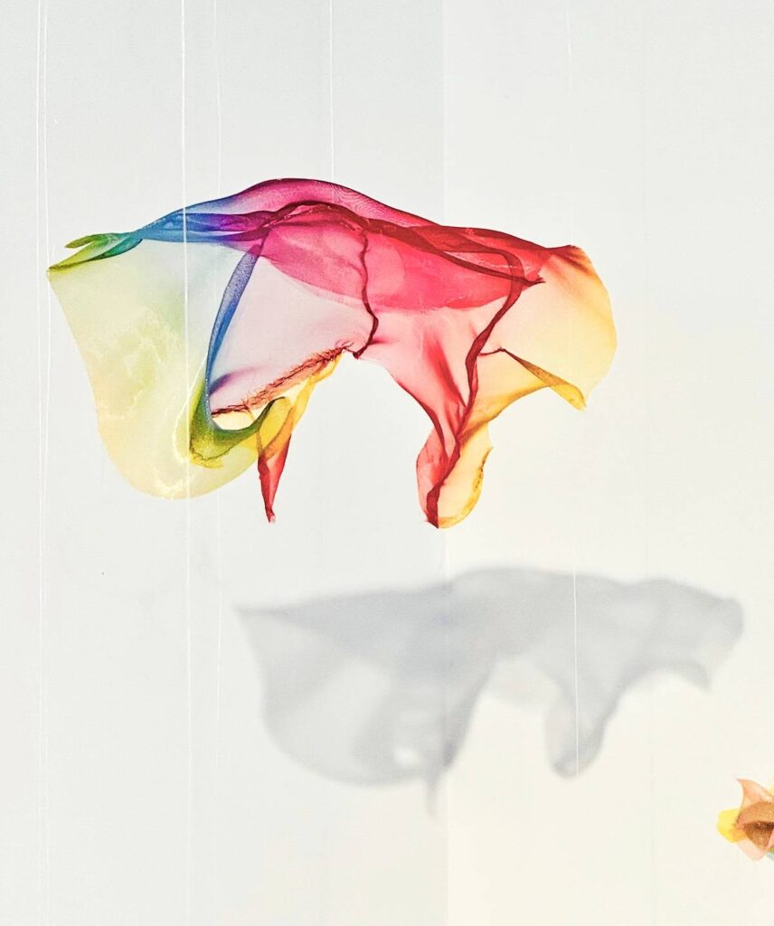 Detail of Hover by Mimi Czajka Graminski
