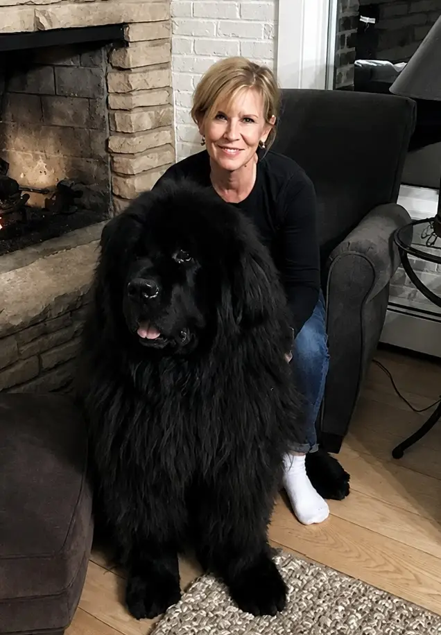 Kathleen Field profile picture