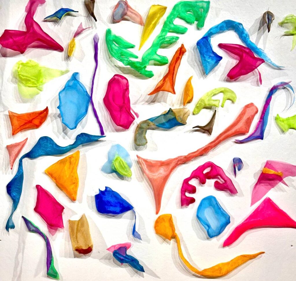Microflora art by Mimi Czajka Graminski