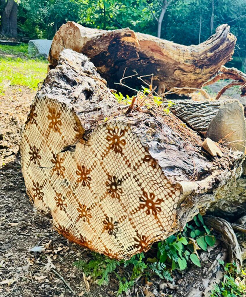 Large Log and Lace Log art by Mimi Czajka Graminski