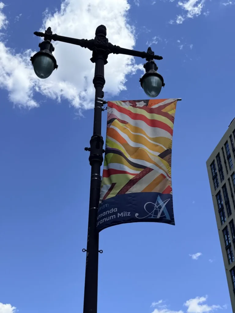 Showing flags promoting Amanda Milz exhibit