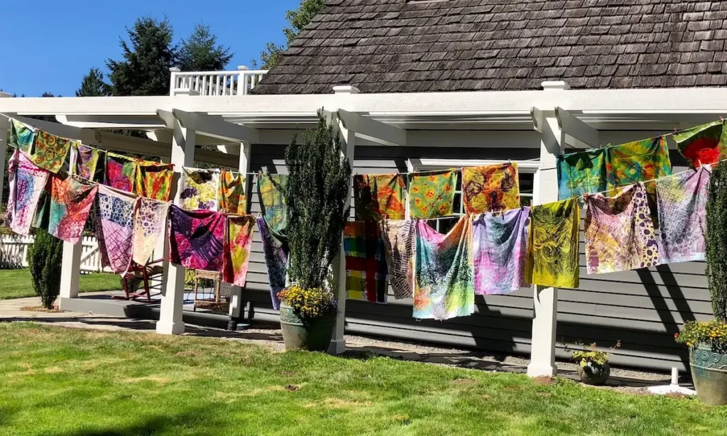 Clothesline after dyeing session with Chris Berry