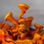 Stomach felt art by Niki Collier