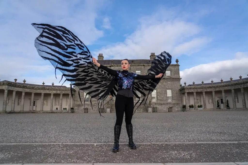 Symbols of Mobility Felt: The Black Swan made by Niki Collier