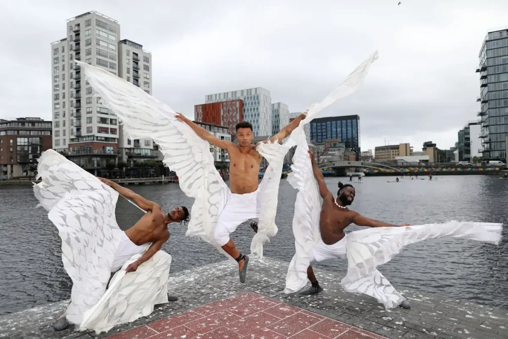 Symbols of Mobility Felt: The Children of Lir made by Niki Collier