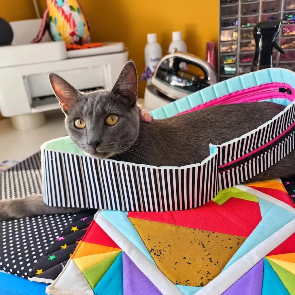 Tallulah the cat sitting in a bag loop in Courtney Mulvey studio