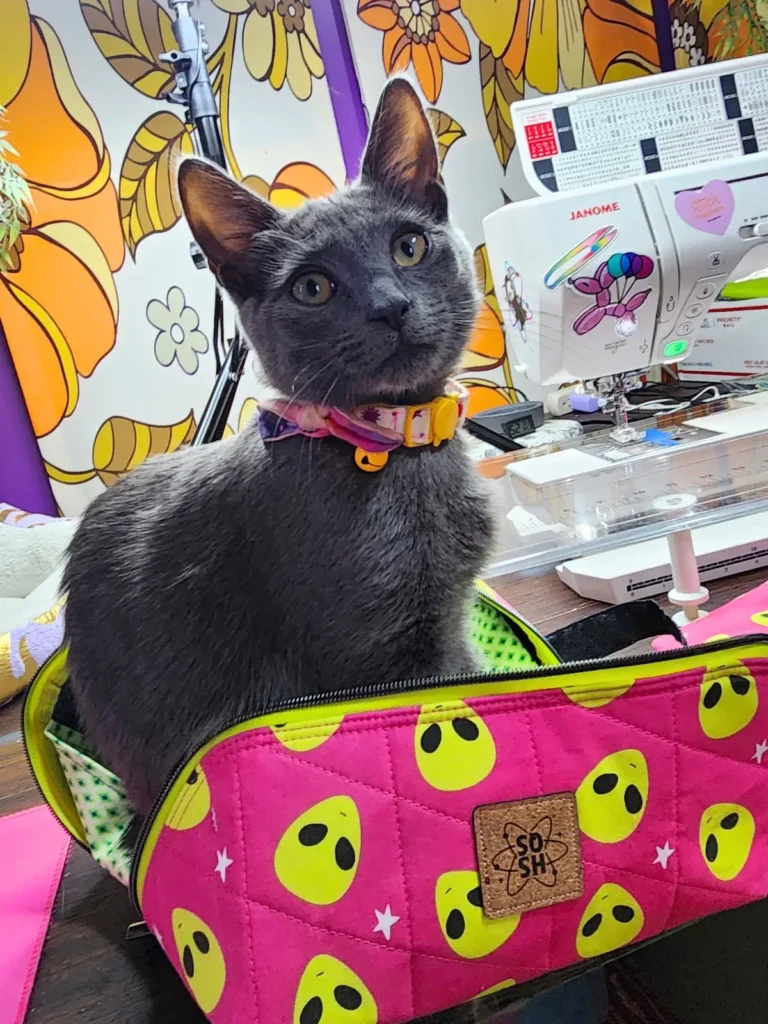 Tallulah in a Wide Open bag by Courtney Mulvey