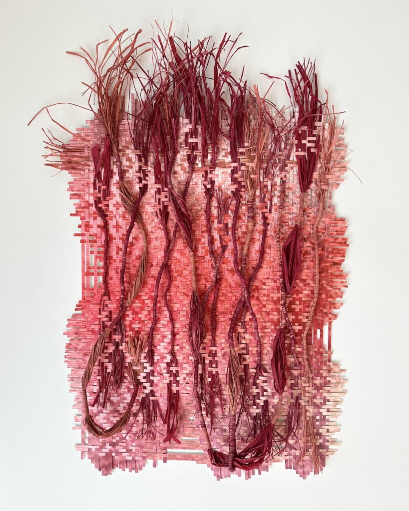 Emergence fiber art weaving by Libby Raab