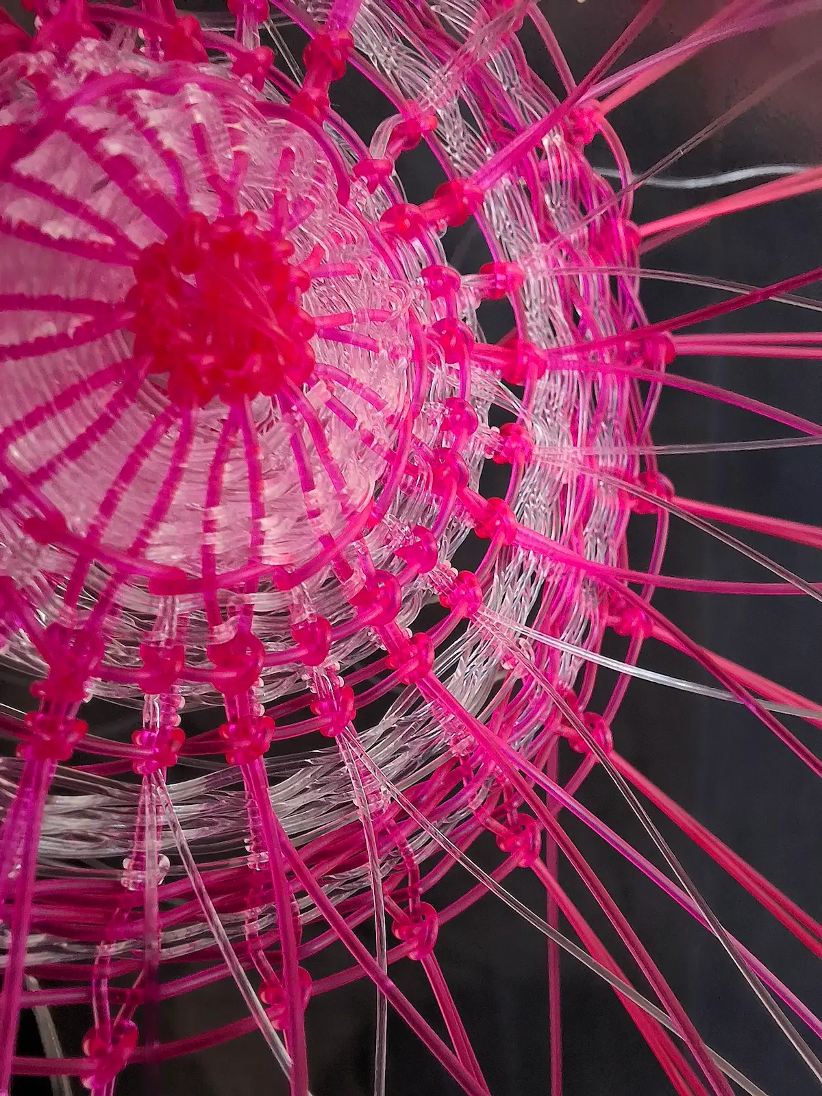 Detail of floral circle weave by Lucy Sugden